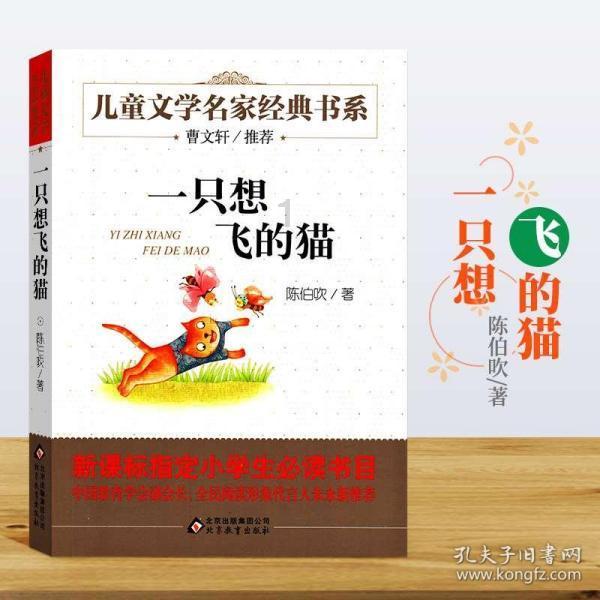 逃离废弃的卡车场